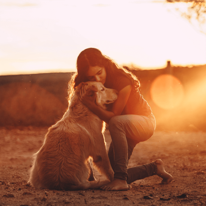 Coaching MASTER- Cane adulto (durata 9 Mesi)