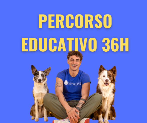 Percorso Educativo Completo – 36 Ore di Coaching Personalizzato