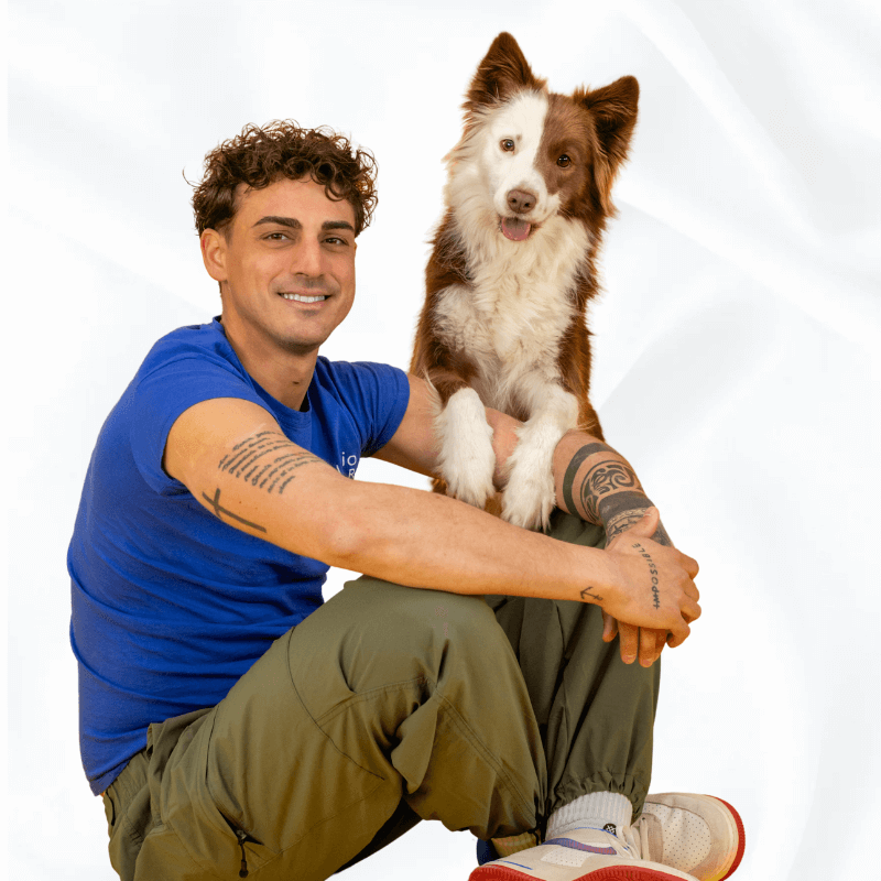 Educazione e Socializzazione Cani: Ingresso Singolo (3H)