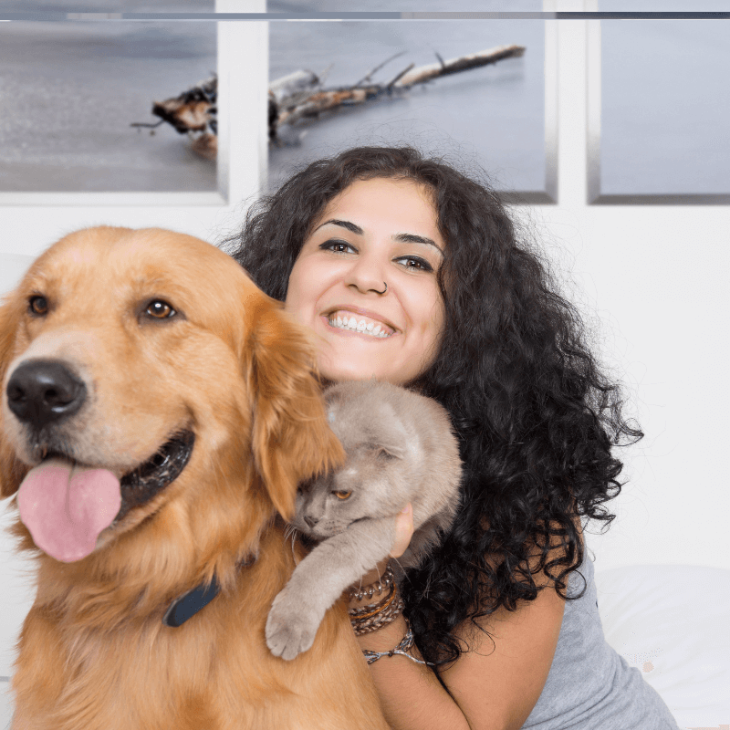Full Immersion a Domicilio: Addestramento Personalizzato per il Tuo Cane