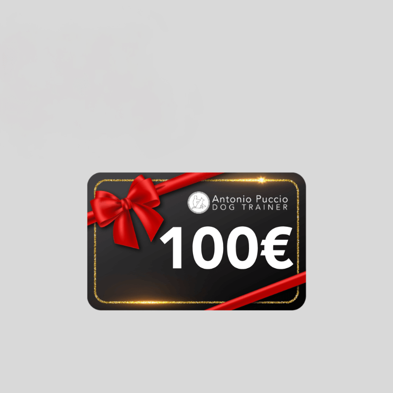 Gift card | Antonio Puccio | 10€ 25€ 50€ 100€