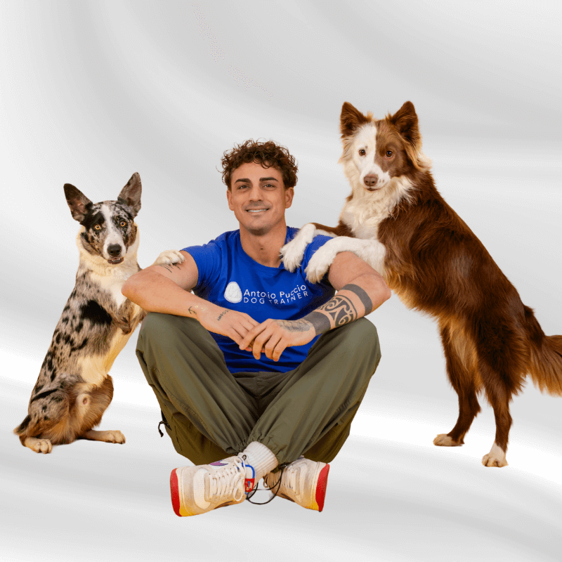 L'esperienza intensiva di 1 giorno con Antonio Puccio