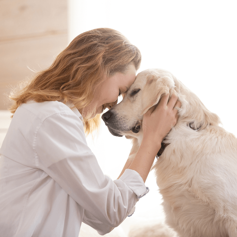 The Connection Mastermind: Trasforma la Relazione con il Tuo Cane