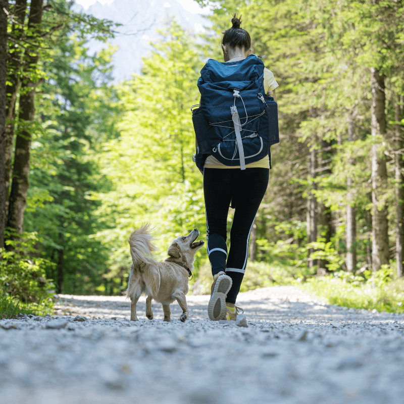 Trekking alla scoperta della panchina gigante di Villareggia