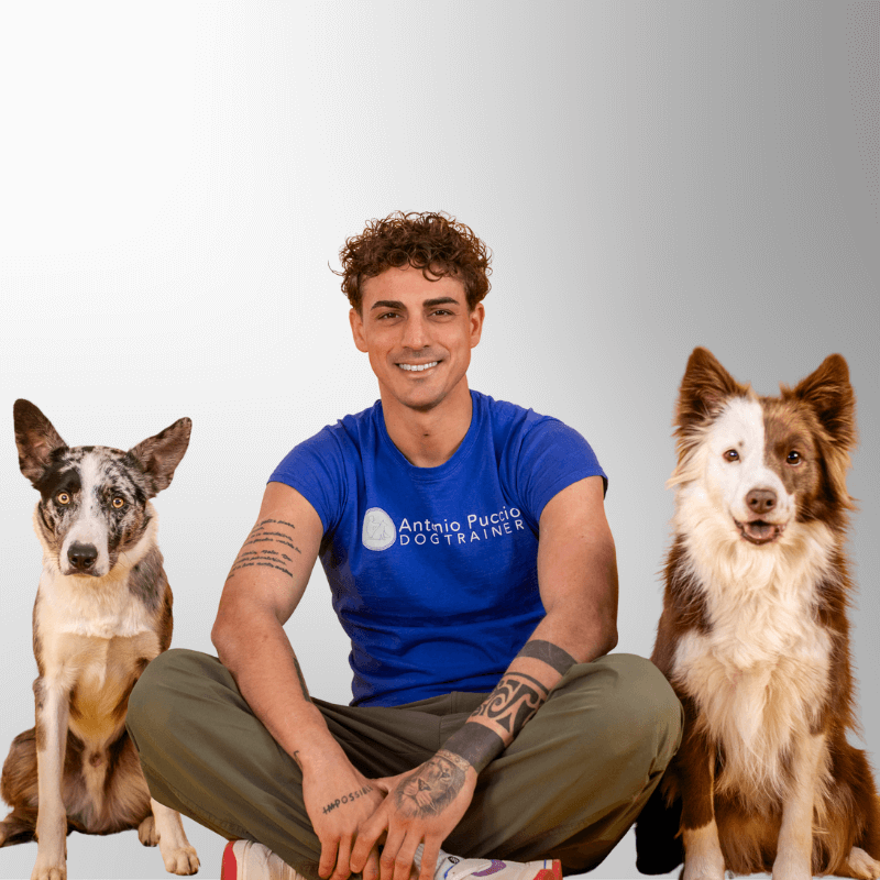 Video Consulenza Personalizzata per Cani (50 Minuti)