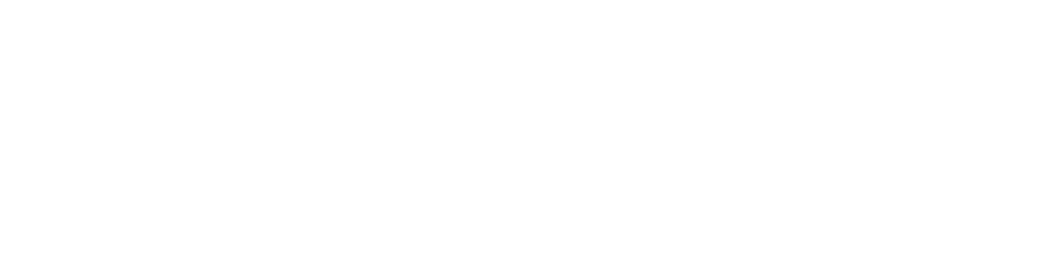 Antonio Puccio Dog Trainer