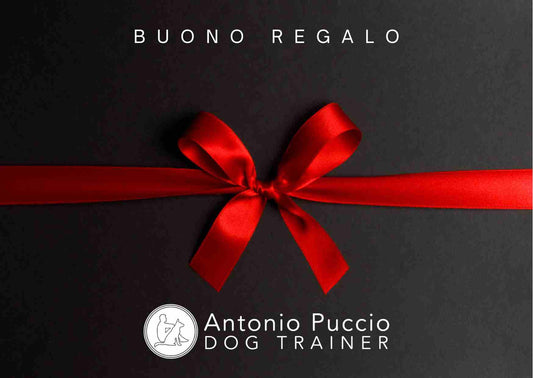 Buono regalo