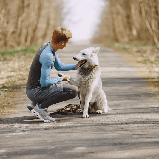Coaching Base- Cane adulto (durata 6 mesi)