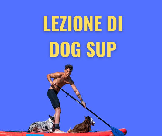 Lezioni di Dog SUP
