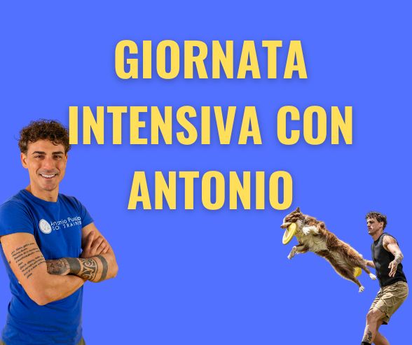 L'esperienza intensiva di 1 giorno con Antonio Puccio