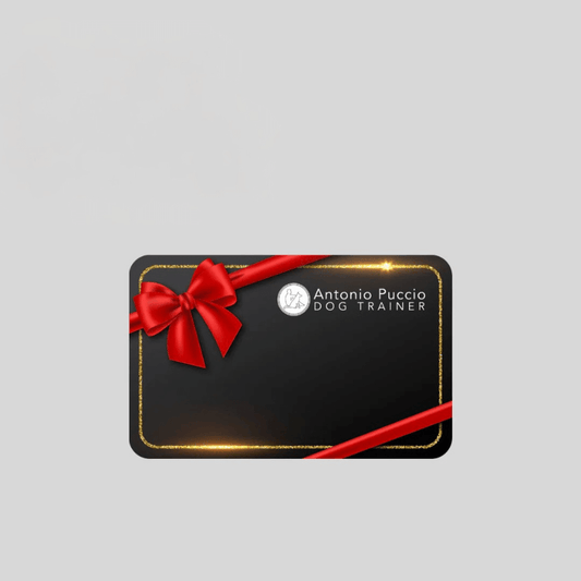 Gift card | Antonio Puccio | 10€ 25€ 50€ 100€