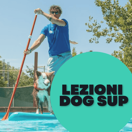 antonio puccio che fa sup con il suo cane Kenya