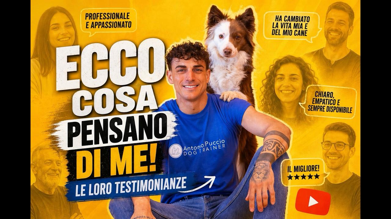 Carica il video: 